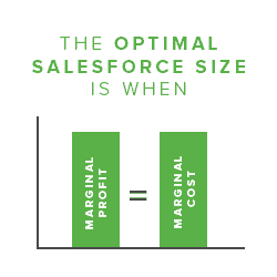 Optimal Sales Force Size